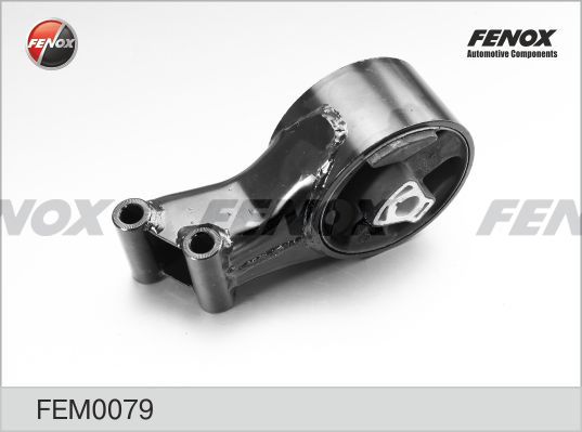 Подвеска, двигатель FENOX FEM0079