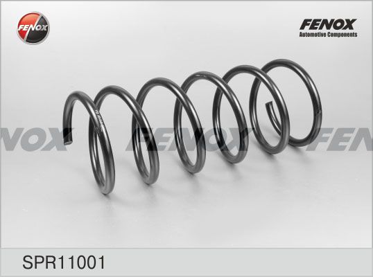 Пружина ходовой части FENOX SPR11001