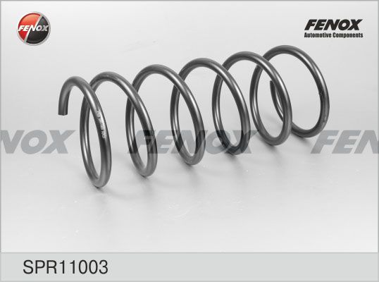 Пружина ходовой части FENOX SPR11003