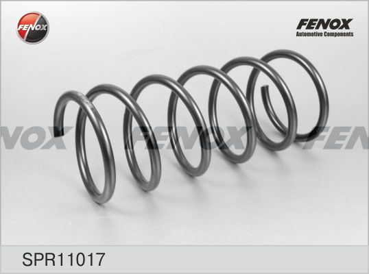 Пружина ходовой части FENOX SPR11017