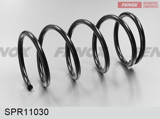 Пружина ходовой части FENOX SPR11030