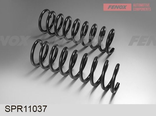 Пружина ходовой части FENOX SPR11037