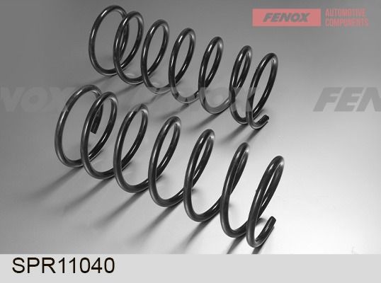 Пружина ходовой части FENOX SPR11040
