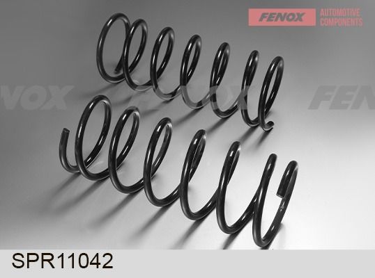 Пружина ходовой части FENOX SPR11042
