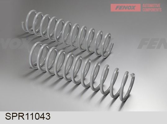 Пружина ходовой части FENOX SPR11043