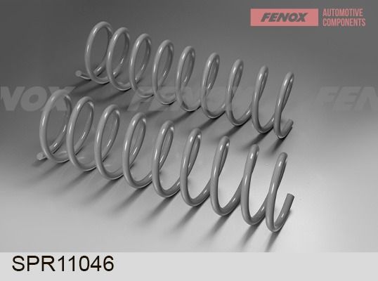 Пружина ходовой части FENOX SPR11046