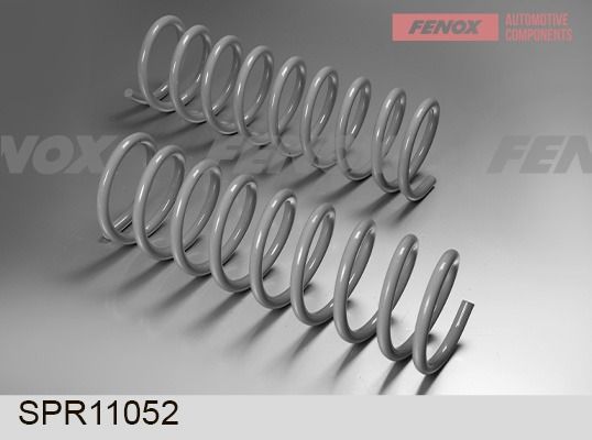 Пружина ходовой части FENOX SPR11052