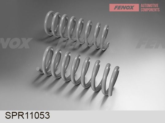 Пружина ходовой части FENOX SPR11053