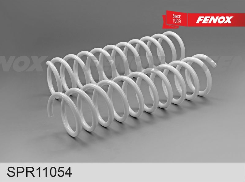 Пружина ходовой части FENOX SPR11054