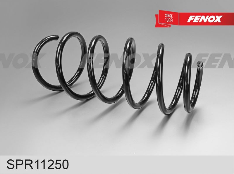 Пружина ходовой части FENOX SPR11250