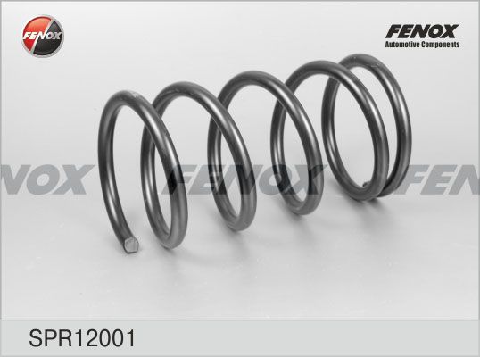 Пружина ходовой части FENOX SPR12001