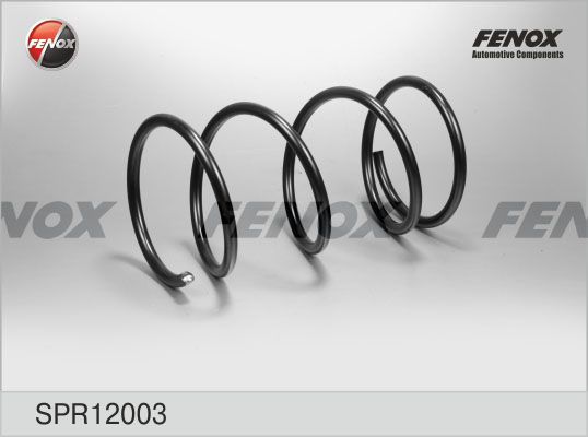 Пружина ходовой части FENOX SPR12003