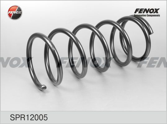 Пружина ходовой части FENOX SPR12005