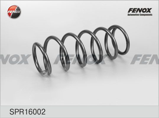 Пружина ходовой части FENOX SPR16002