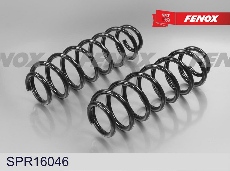 Пружина ходовой части FENOX SPR16046
