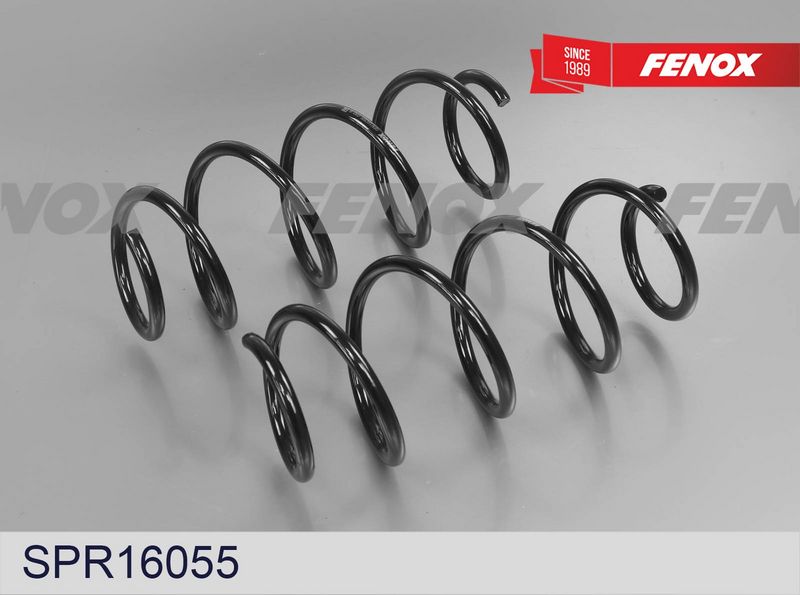 Пружина ходовой части FENOX SPR16055
