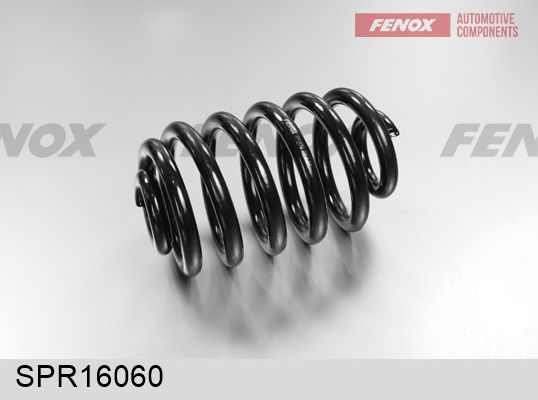 Пружина ходовой части FENOX SPR16060