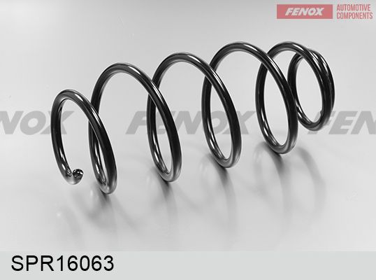 Пружина ходовой части FENOX SPR16063