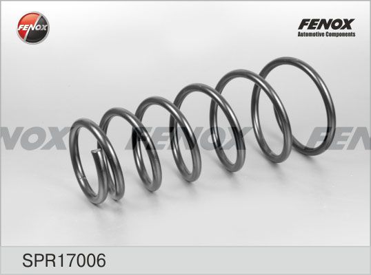 Пружина ходовой части FENOX SPR17006
