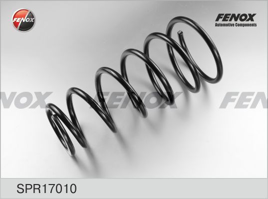 Пружина ходовой части FENOX SPR17010