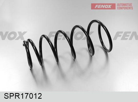 Пружина ходовой части FENOX SPR17012