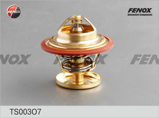 Термостат, охлаждающая жидкость FENOX TS003O7