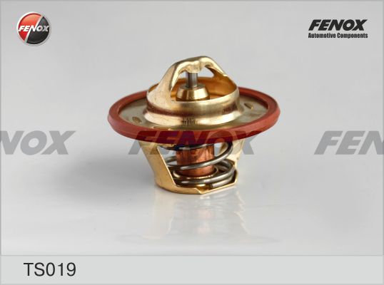 Термостат, охлаждающая жидкость FENOX TS019