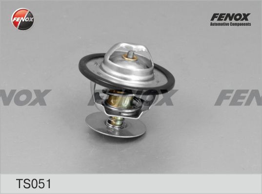 Термостат, охлаждающая жидкость FENOX TS051