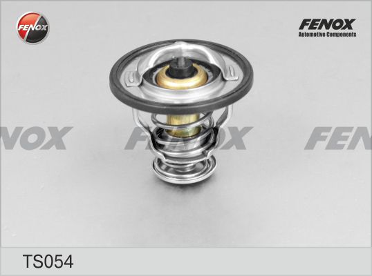 Термостат, охлаждающая жидкость FENOX TS054