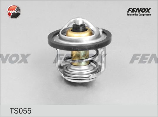 Термостат, охлаждающая жидкость FENOX TS055