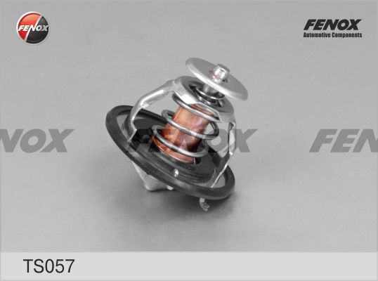 Термостат, охлаждающая жидкость FENOX TS057
