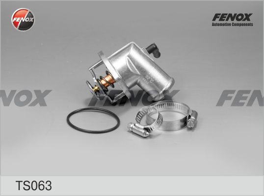 Термостат, охлаждающая жидкость FENOX TS063