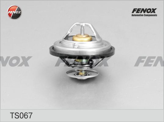 Термостат, охлаждающая жидкость FENOX TS067