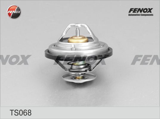 Термостат, охлаждающая жидкость FENOX TS068