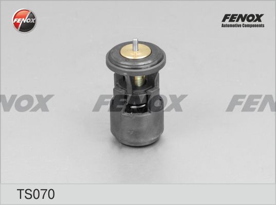 Термостат, охлаждающая жидкость FENOX TS070