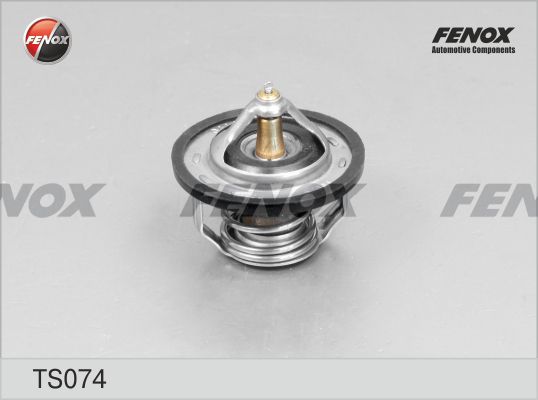 Термостат, охлаждающая жидкость FENOX TS074