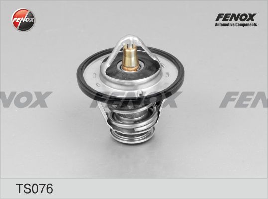 Термостат, охлаждающая жидкость FENOX TS076