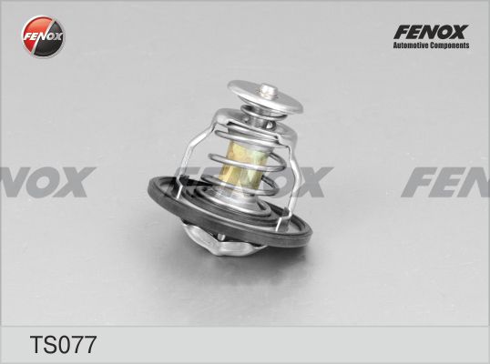 Термостат, охлаждающая жидкость FENOX TS077