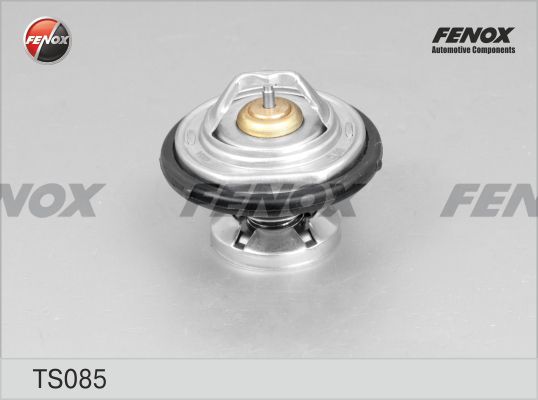 Термостат, охлаждающая жидкость FENOX TS085
