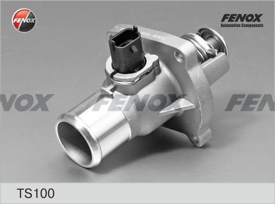 Термостат, охлаждающая жидкость FENOX TS100
