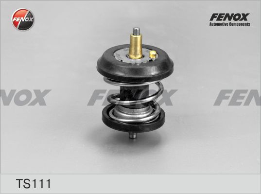 Термостат, охлаждающая жидкость FENOX TS111