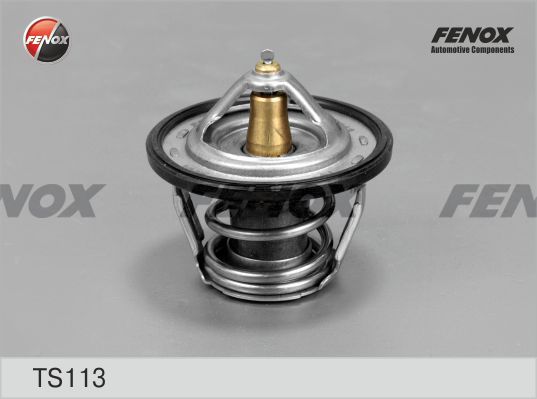 Термостат, охлаждающая жидкость FENOX TS113