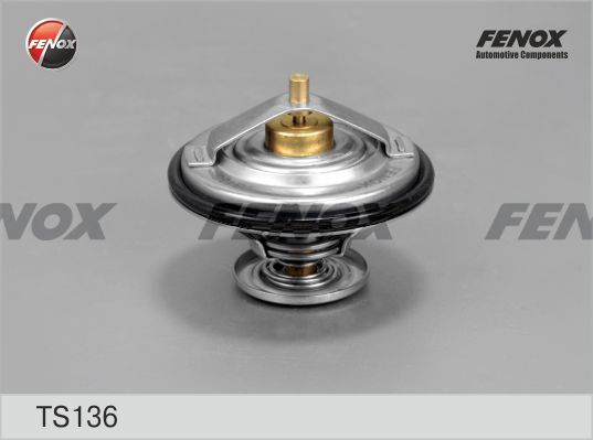 Термостат, охлаждающая жидкость FENOX TS136