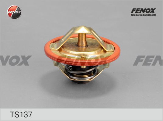 Термостат, охлаждающая жидкость FENOX TS137