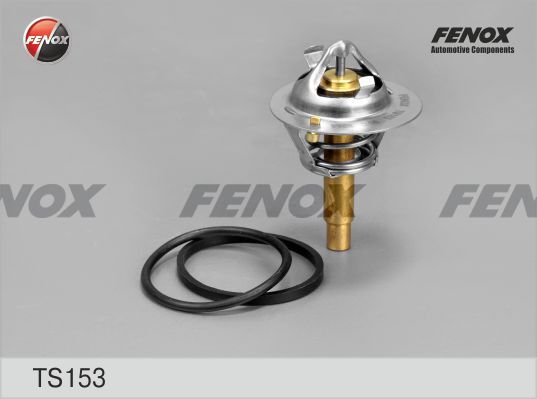 Термостат, охлаждающая жидкость FENOX TS153