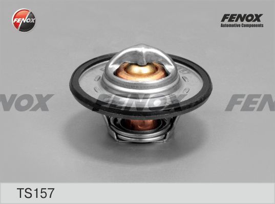 Термостат, охлаждающая жидкость FENOX TS157