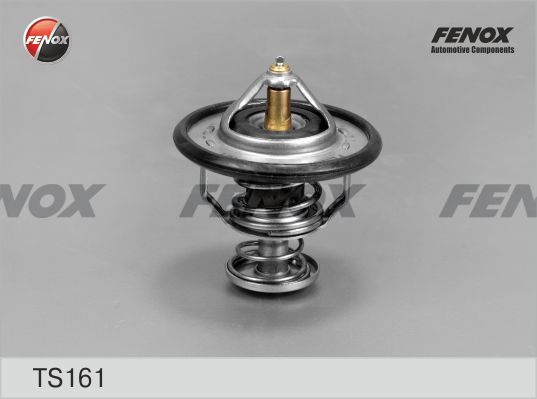 Термостат, охлаждающая жидкость FENOX TS161