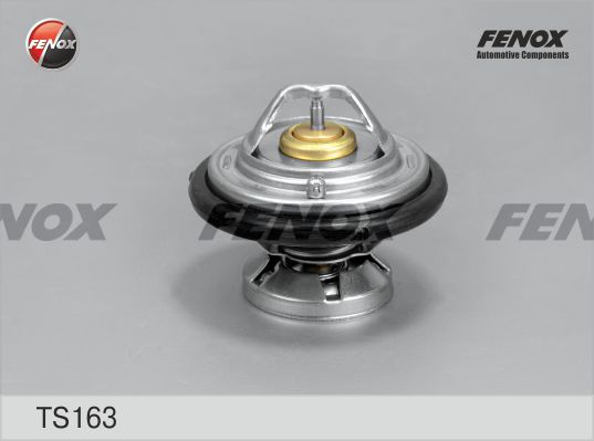 Термостат, охлаждающая жидкость FENOX TS163