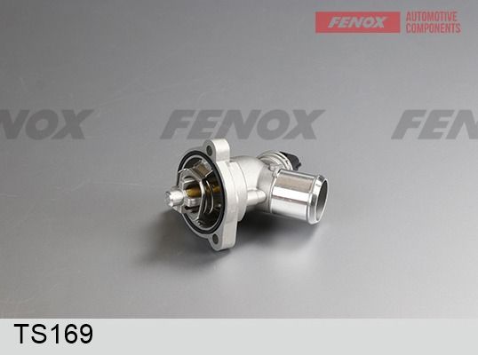 Термостат, охлаждающая жидкость FENOX TS169