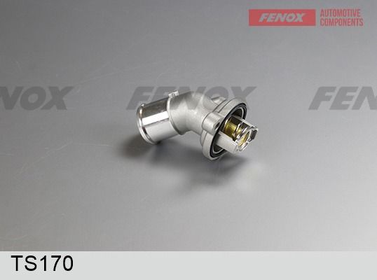 Термостат, охлаждающая жидкость FENOX TS170
